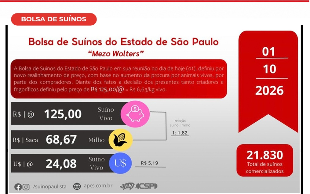 Bolsa de Suínos de SP sobe R$ 10 e suíno vivo chega a R$ 125/@