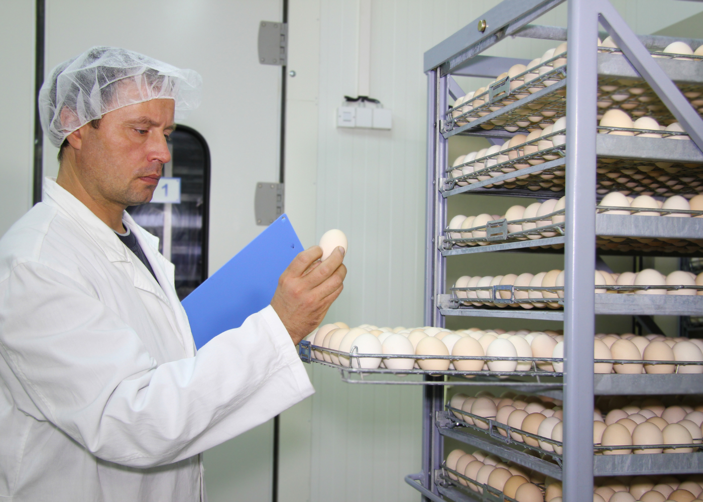 Abertas as inscrições para trabalhos científicos sobre produção de ovos para o Congresso APA 2027