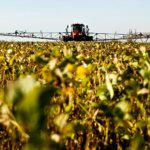 Paraná deve colher 22,75 milhões de toneladas de soja em 2026/27, estima Deral