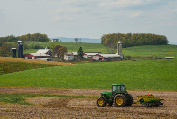 VBP Agropecuária de MS apresenta crescimento de 17,85% nos últimos 3 anos